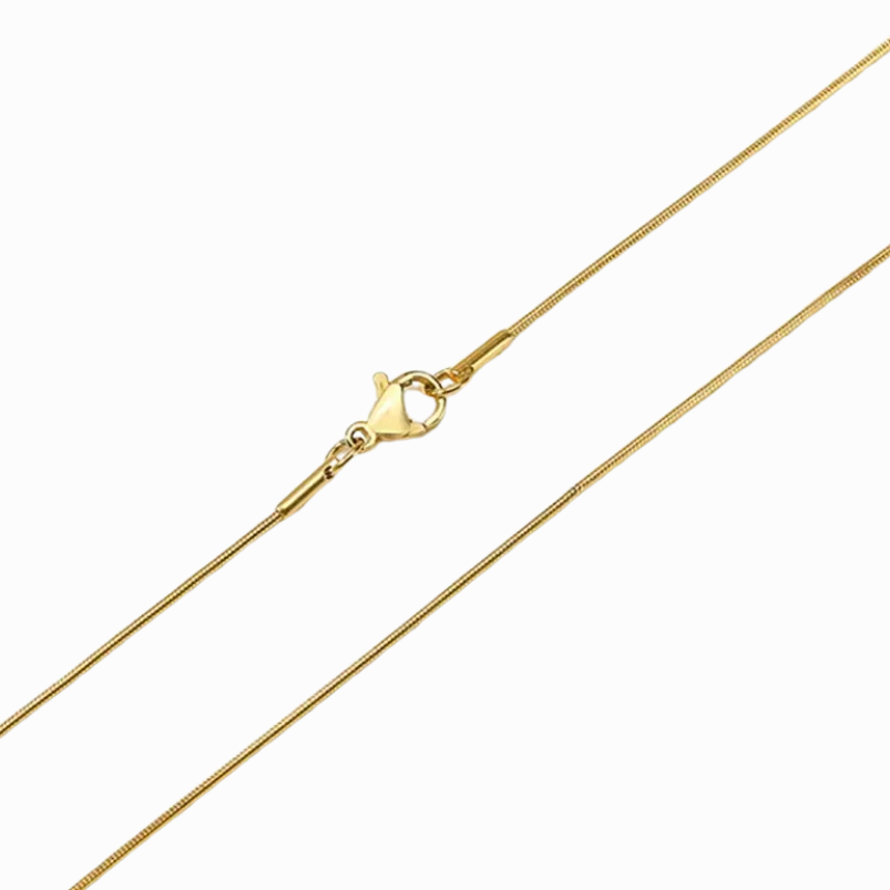 Gold chain necklace on a white background